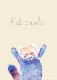 レッサーパンダ