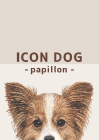 ICON DOG - Papillon - BROWN/02