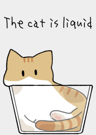 The cat is liquid [red tabby white]