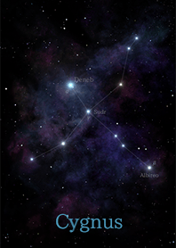 constellation <Cygnus>