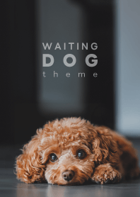 WAITING DOG - トイプードル 01/BR -