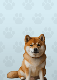 Cute Shibainu Theme Blue 02