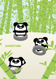 PANDATOMO T