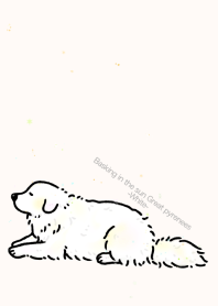 光合成グレートピレニーズ-White-