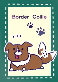 Serene Border Collie Brawn