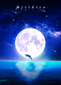 [fujishiro] dolphin moon night