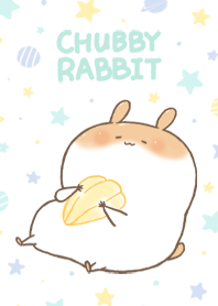 Chubby Rabbit