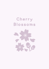 Cherry Blossoms12<PurplePink>