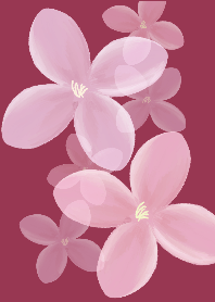 The Pink Flora.