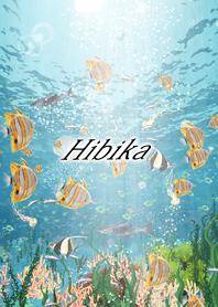 Hibika Coral & tropical fish