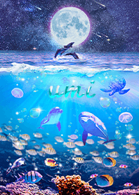 Wonderful Life - umi - [updated]