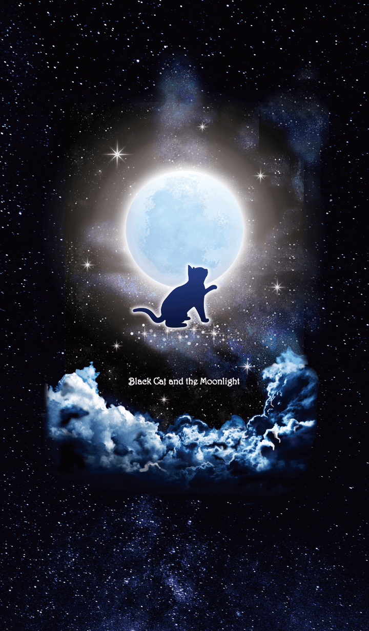 黒ネコと月明かり☆