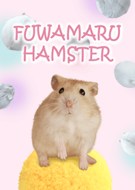 Fluffy Hamsters