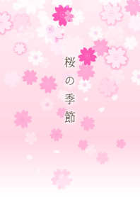 Season of cherry blossom 1 J