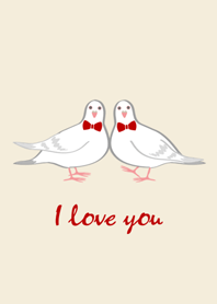 인기있는 흰색 비둘기 커플