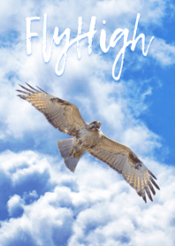 FlyHigh
