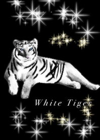 White tiger Black