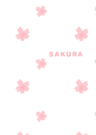 Spring Sakura flower