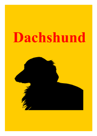 Dachshund.My pleasant companies.