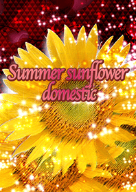 Summer sunflower domestic