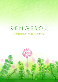 RENGESOU Chinese milk vetch