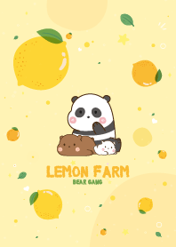 Three Bears Lemon Farm Lovely
