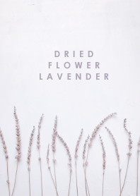 Dried flower_lavender