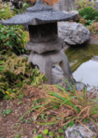 日本庭園!