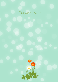 March's birth flower,Iceland poppy.