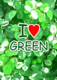 *I love green*