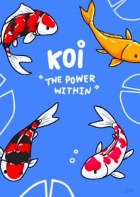 EPK1203: Koi