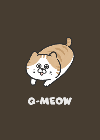 Q-meow6 / chocolate
