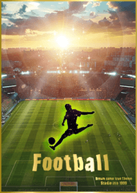 サッカースタジアム1