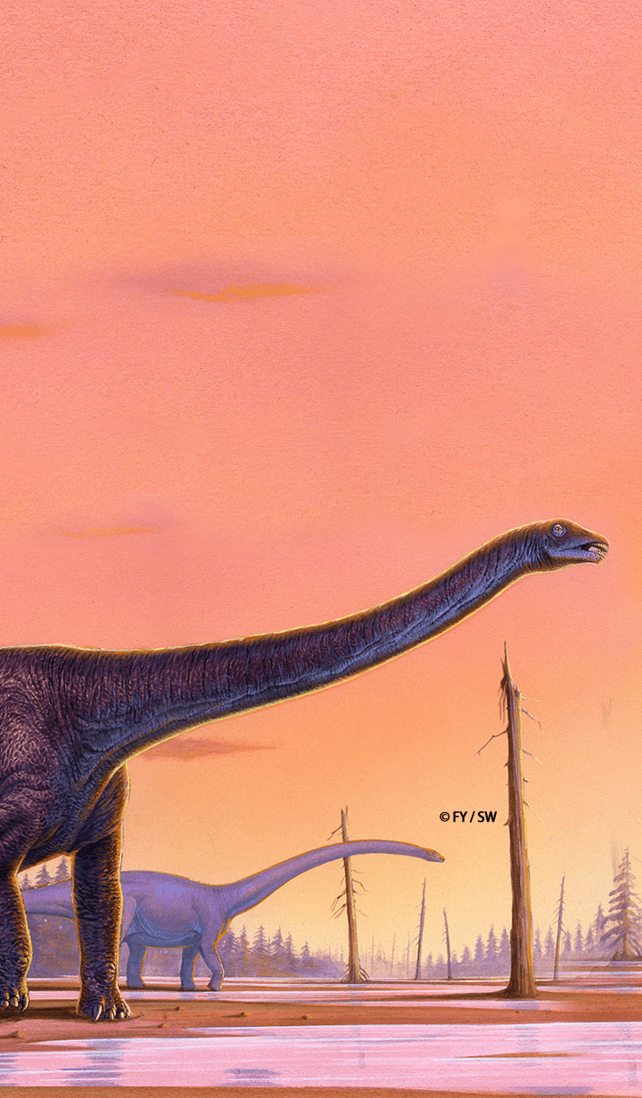 Dinosaur Sauropod