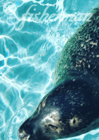 swim seal