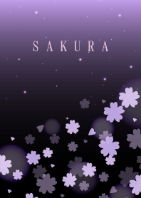 Cherry blossoms at night....13