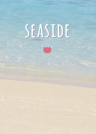 海濱 郁金香'紫色的'