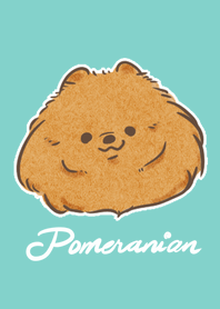 pomeranian red theme