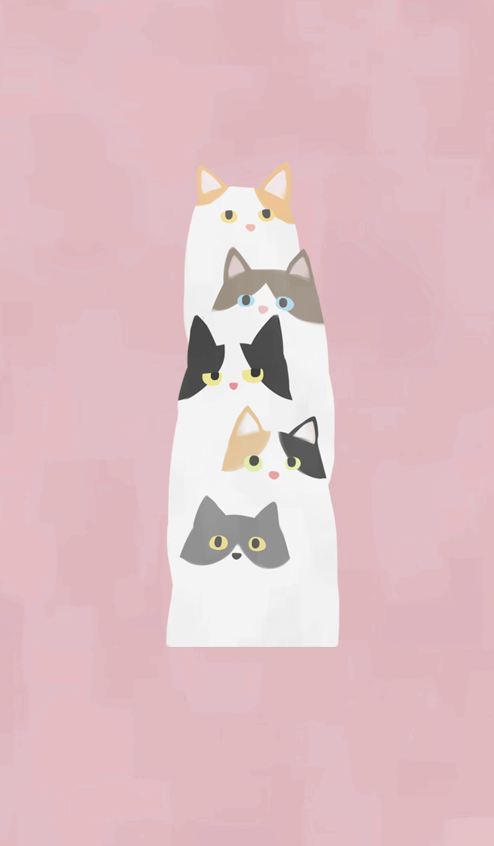 Order cat - calico^