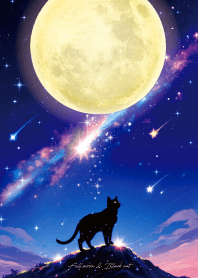 運勢大好転✨満月と黒ネコ