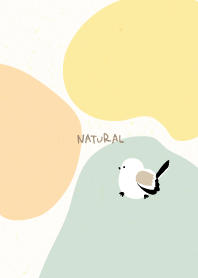 Long-tailed tit walking 3colors14 Japan