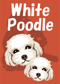 White Poodle