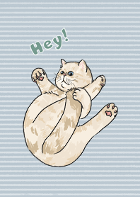 hey ! cats