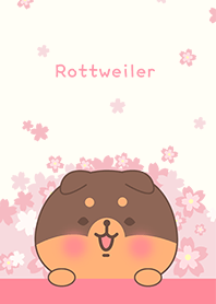 赤ちゃんロットワイラー犬と桜の花