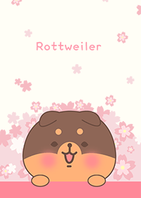 misty cat-Rottweiler dog with sakura