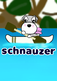a refreshing summer schnauzer 1