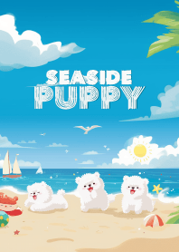 Samoyed the dog at the beach_3