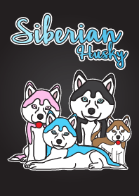 siberian husky