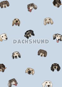 dachshund4 / baby blue