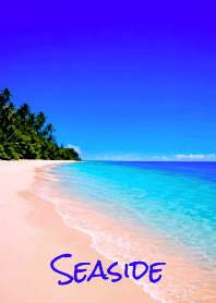 Seaside THEME 34
